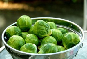 Brussels sprouts 