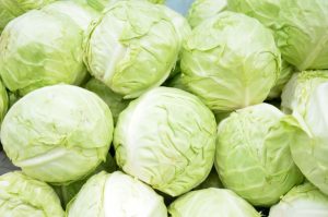 Cabbage