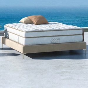 Chiropractor-Approved Mattress Brand