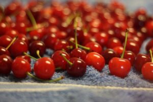 Tart Cherries