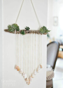 Seashell Wall hanging by Succulents