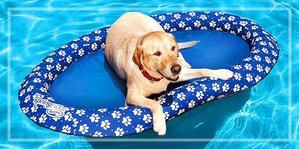 10 Incredibly Useful Products to Keep Your Pet Cool This Summer