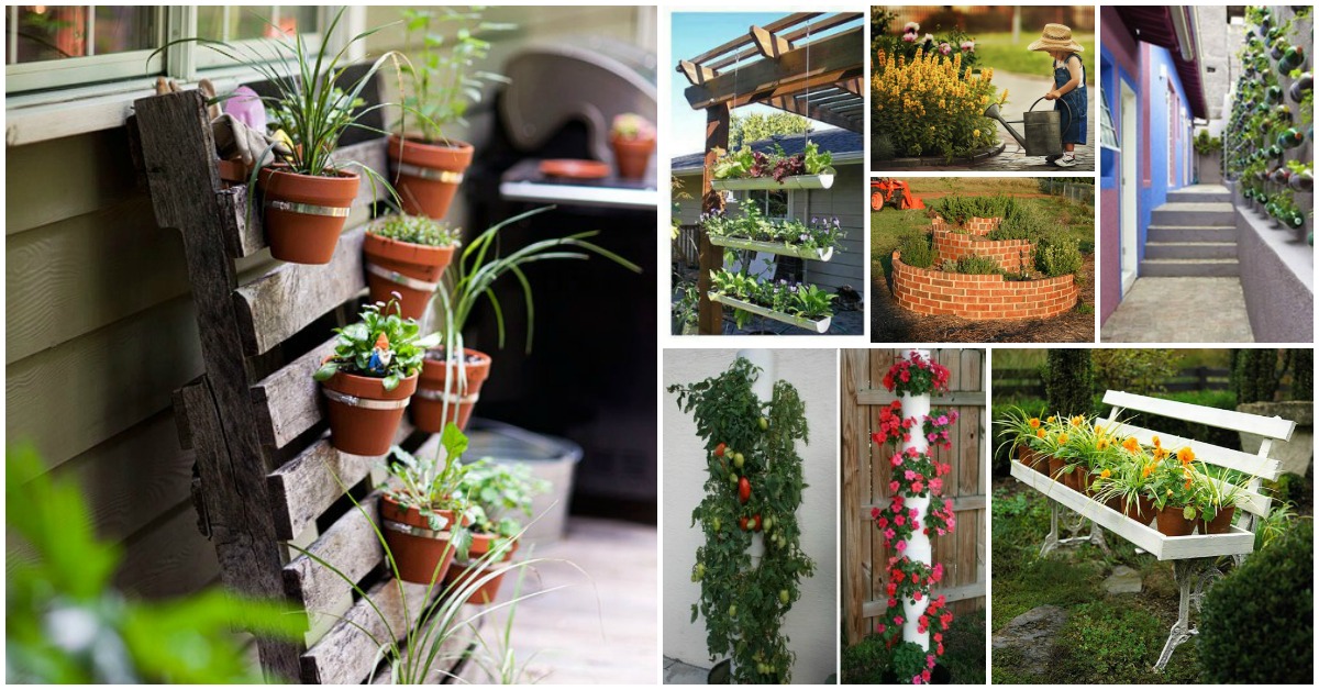 5 Tips to Garden in a Small Space