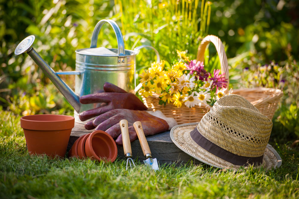 Seasonal Gardening Tips: What to Plant and Do Each Season