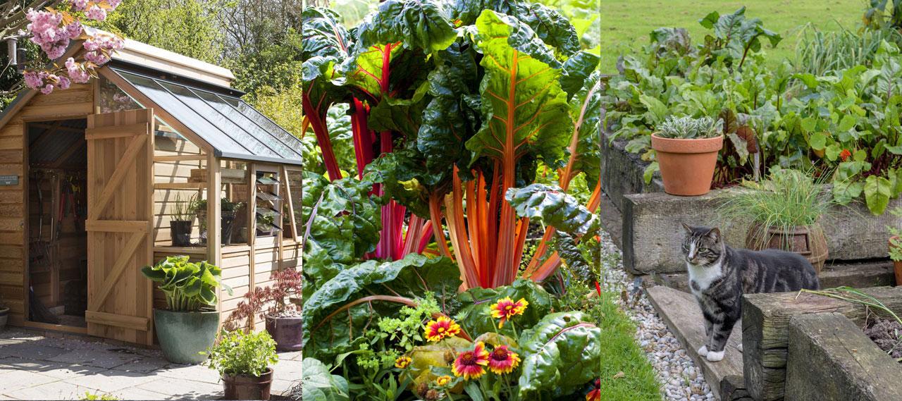 How to Grow a Thriving Garden in Small Spaces