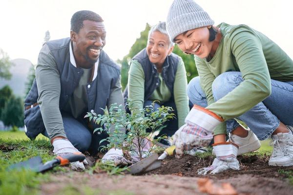 Homegrown Happiness: Cultivating a Sustainable Lifestyle